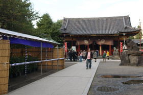 2007_pa202729