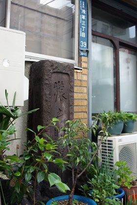2007_pa202805_2