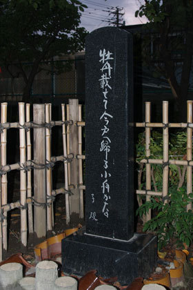 2007_pa202823
