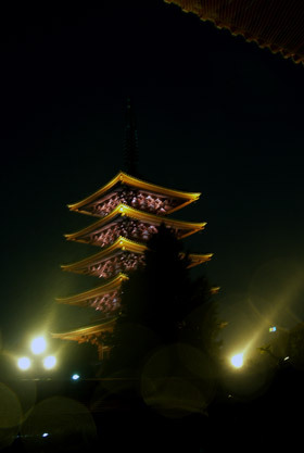 2007_pb103720