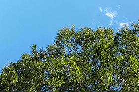 2007_pb134056