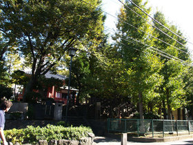 2007_pb134066