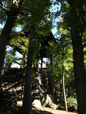2007_pb134070