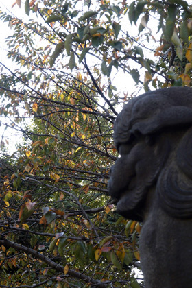 2007_b184381
