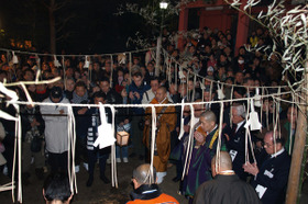 2006_p1013699