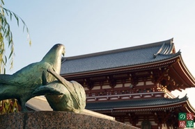 2007_pc157050