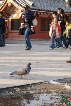 2007_pc157090