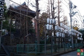 2007_pc247882