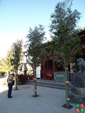 2007_pc247905