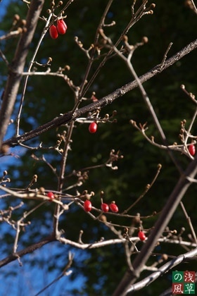 2007_pc248159