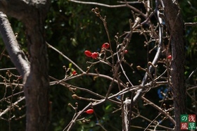 2007_pc248164