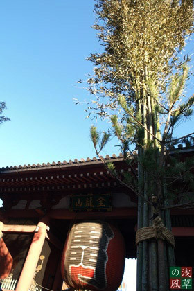 2007_pc247868