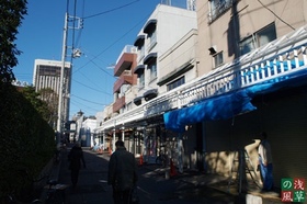 2007_pc247981