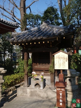 2007_pc278311