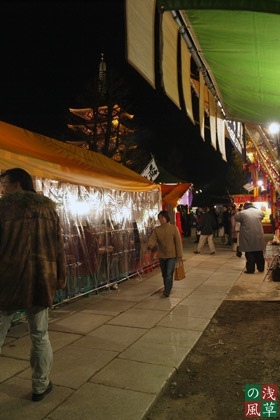 2008_p1018961_2