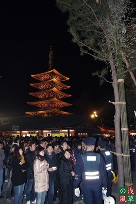 2008_p1019002_2