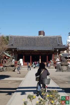 2008_p2011725