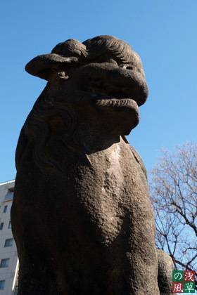 2008_p2011726