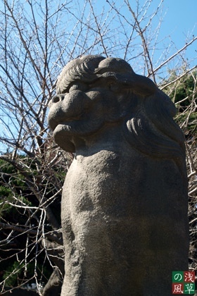 2008_p2011727