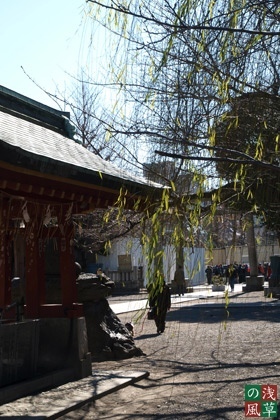 2008_p2011743