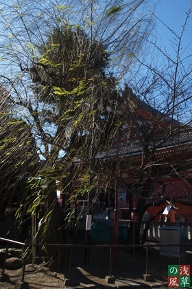2008_p2011744