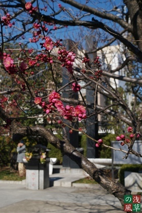 2008_p2011787