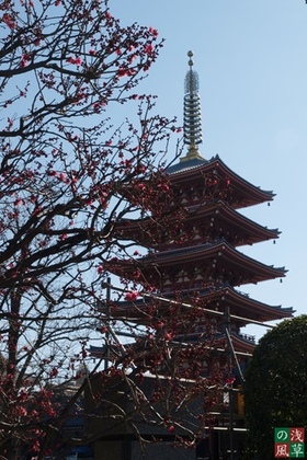 2008_p2011799
