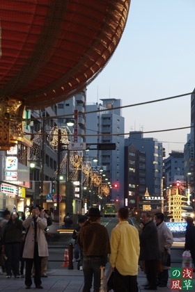 2008_p2295061