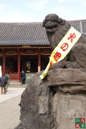 2008_p3025287