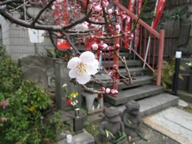 Simg_0131_2
