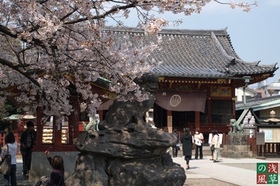 2008_p4039279