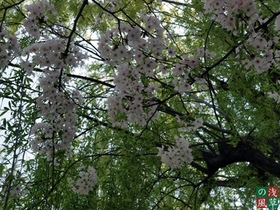 2008_p4039307