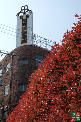 2008_p4039366