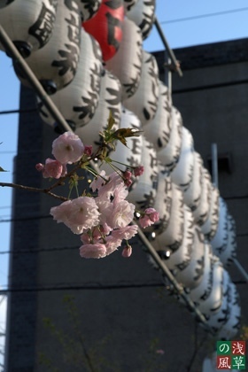 2008_p4039400