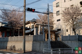 2008_p4039412