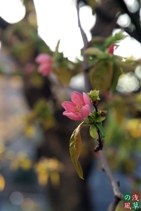 2008_p4039417