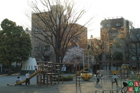 2008_p4039424