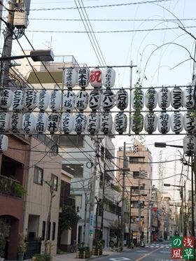 2008_p4039433