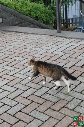 2008_p6047407