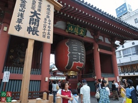 2008_p8050294