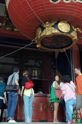 2008_p8050342
