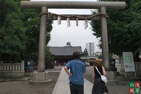 2008_p8050349