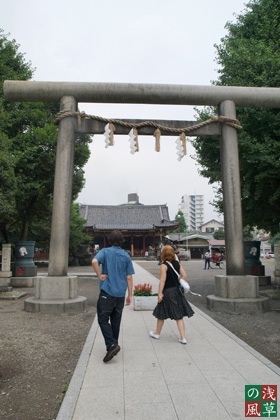 2008_p8050350