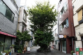 20080907_0120
