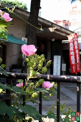 20080909img_0331