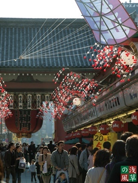 20081210_pc103010