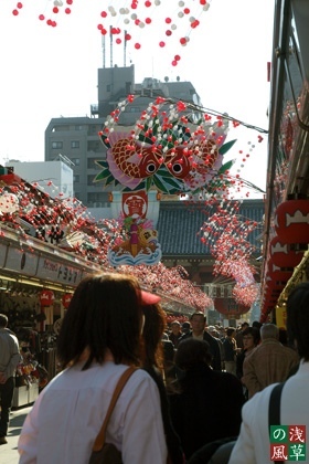 20081210_pc103023