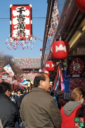 20081210_pc103036