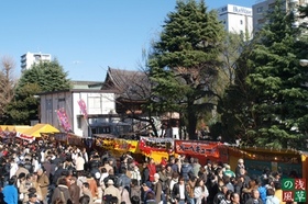 20090101_p1014360
