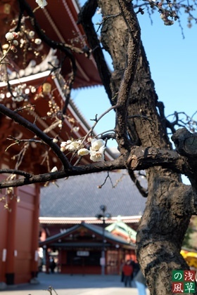 20090202_p2024772